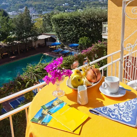 Hotel Cleopatra 3*